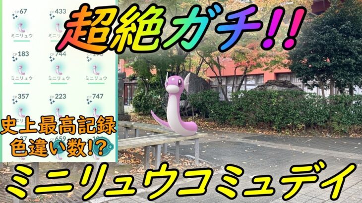 【ポケモンGO】史上最高色違い数!?超絶鬼ガチった復刻ミニリュウコミュニティデイ