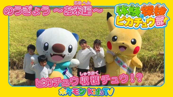 【ポケモン公式】体験探検ピカチュウ部！「のうぎょう～お米編～」－ポケモン Kids TV