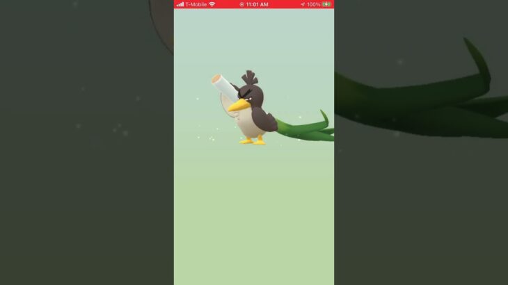 [Pokemon GO] Another Hatching 4 – 7K Eggs! Yay or nay?!?
