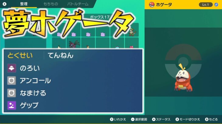 【ポケモンSV】夢ホゲータ配布【せう】