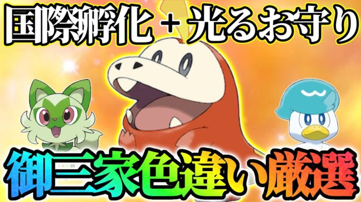 【国際孵化】ホゲータ最終決戦【ポケモンSV】