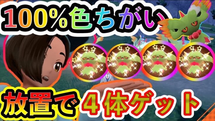 【ポケモンSV】色違いしか出ない！100% 放置するだけでハバタクカミの色違いを捕まえまくる方法