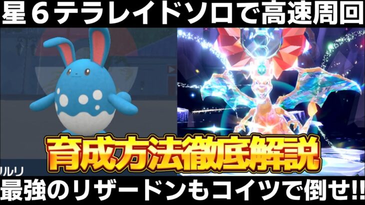 【ポケモンSV】星6テラレイドをソロで高速周回！マリルリの入手方法/育成方法を徹底解説！最強のリザードンもマリルリで対策！【スカーレット/バイオレット】