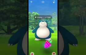 Timed Research: Greedy Gluttons – Completed | Pokemon GO