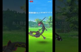 #shorts #レックウザ　#色違いレックウザ　#ポケモンgo