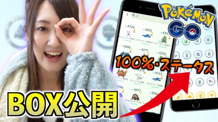 4年目のBOX紹介前編!! 100％&ステータス【ポケモンGO】