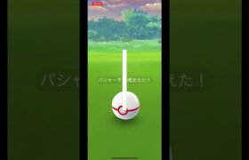 【ポケモンGO】ホウエンメガレイド！【PokemonGO】 #shorts #pokemon #pokemongo #ポケモン #ポケモンgo