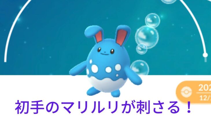 【ポケモンGO】スーパーリーグに潜ってみます！R2238～【マリルリ、タチフサグマ、レジスチル】