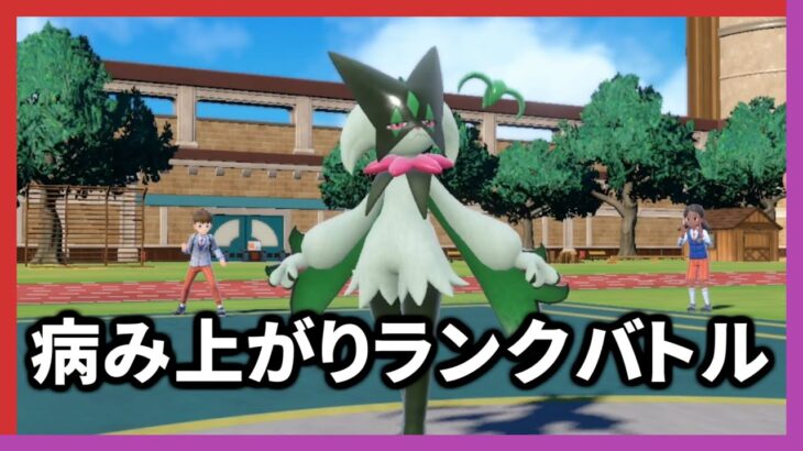 【ポケモンSV】ポケモンやれば体調不良を全て治せる説【ランクバトル配信】