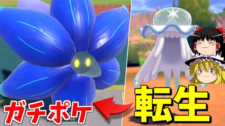 【ポケモンSV】パルデアのウツロイド、「キラフロル」がガチポケな件【ゆっくり実況】