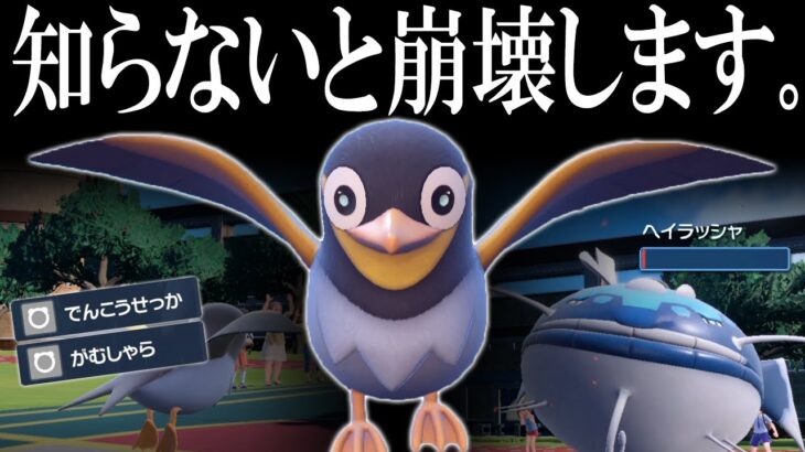 カイデンを知らないとパーティ崩壊します。”令和のコラッタ”が進化前でも破壊する世界線【ポケモンSV】