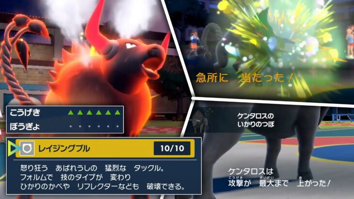 知らなきゃ一瞬で負ける「パルデアケンタロス」の専用技がヤバい【ポケモンSV】