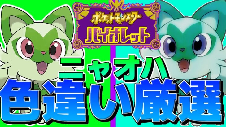 【光るお守り＋国際孵化】色違いニャオハが欲しい！【ポケモンSV】