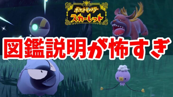 【ポケモンSV】図鑑説明が怖すぎる・・・夜のポケモンゴーストタイプ【ポケモンスカーレットバイオレット】