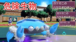 攻撃された瞬間に豹変する危険生物「ガケガニ」が狂ってて面白い。【ポケモンSV実況】