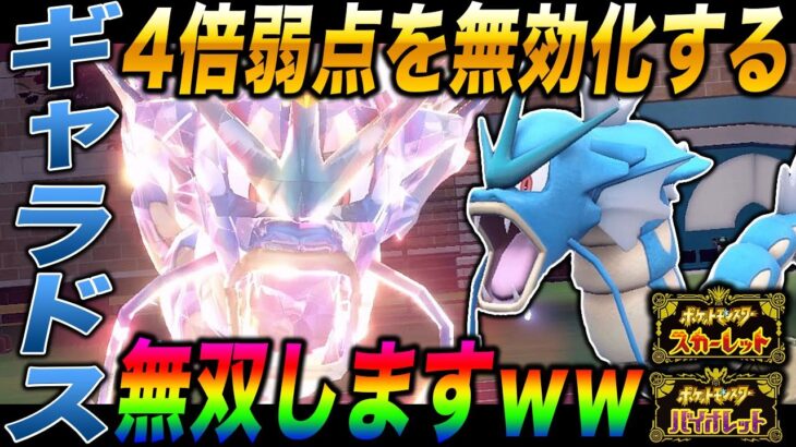 【ポケモンSV】4倍弱点を無効化して無双する『ギャラドス』が最強すぎてヤバすぎたｗｗ受けポケモン潰し＆全抜きエース爆誕ｗｗ【スカバイ】