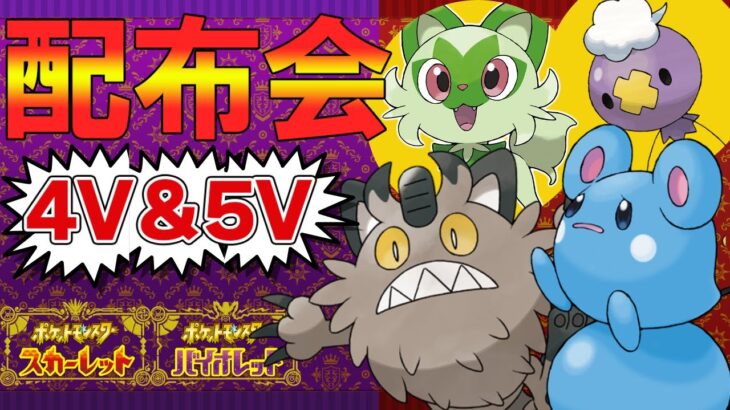 【ポケモンSV】御三家、夢ガラルニャース等、無償配布会！だれでもどうぞ！4V以上確定【ニャオハ/フワンテ/ルリリ/ヨーギラス/Vtuber】