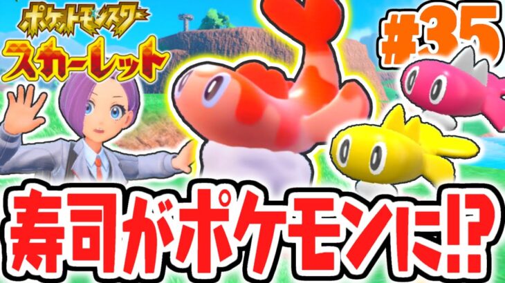 シャリタツがゲット出来ません…お寿司に見える新ポケモン!?ポケモンSV最速実況Part35【ポケットモンスター スカーレット・バイオレット】