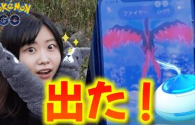 また私じゃない‼ガラルファイヤー出た‼in愛知県:ポケモンgoおさんぽおこう30分