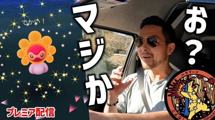 色違い太陽ポワルンとデカい演出ゲットしたんだけど…ちょい話そう！ナイアン有難う！旅が…旅が…！！！