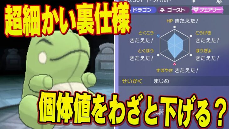 【必修科目】ポケソル動画で本当に『ガチ対戦のためになる動画』を選んでみました