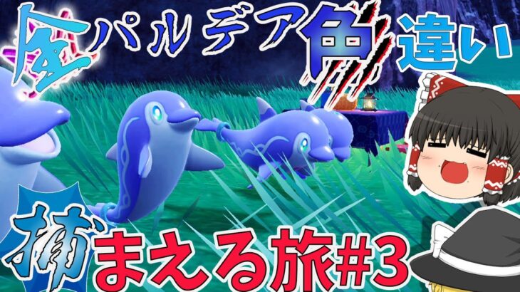 【ポケモンＳＶ】色証イルカマンが欲しい！！　全パルデア色違い捕まえる旅３【ゆっくり実況】