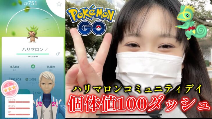 【神回】ハリマロン個体値100とカクレオンを乱獲したの巻♪ ハリマロンコミュニティデイ ポケモンGO  포켓몬 고 pokemon go japan