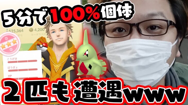 個体値100%が爆湧き!???!?ヨーギラス復刻コミュデイ全力疾走した結果…!!?!?!【ポケモンGO】