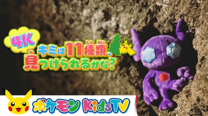 【ポケモン公式】キミは11種類、見つけられるかな？「洞窟・すべり台」編【4K】－ポケモン Kids TV