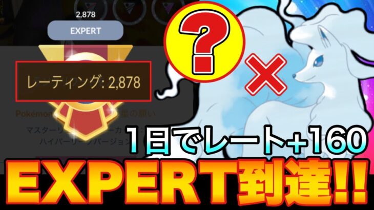 【ハイパーホリデー】18勝7敗でエキスパ飛び越えて29帯目前！！アロキュウ×〇〇の組み合わせが強すぎて爆勝ち！【ポケモンGO】【GOバトルリーグ】【GBL】