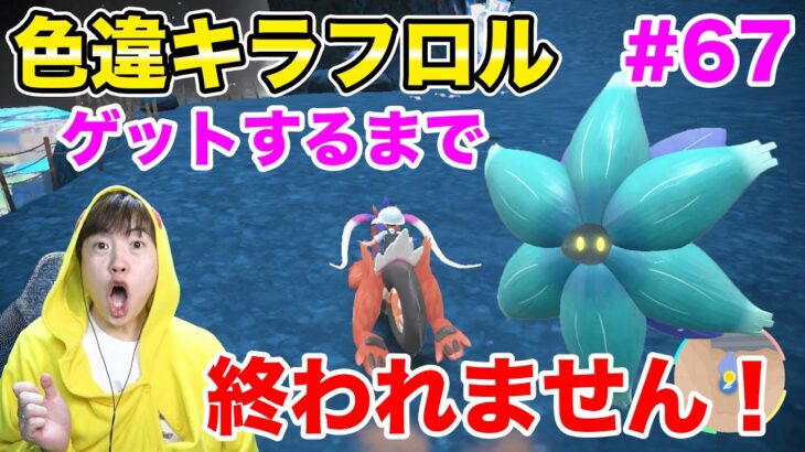 色違いキラフロルをゲットするまで終われません！#67【ポケモンSV】