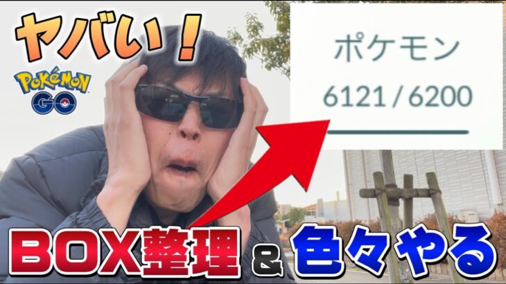 そろそろやばいので、、、やります。ハリマロンのコミュニティデイ楽しみなBOX整理配信【ポケモンGO】