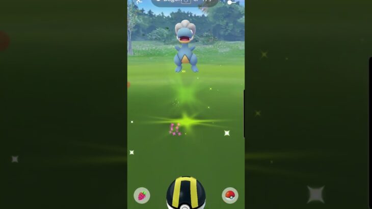 Catching Bagon in Pokemon Go via the Field Research 😍🥳 #shorts #pokemongo #pokemon