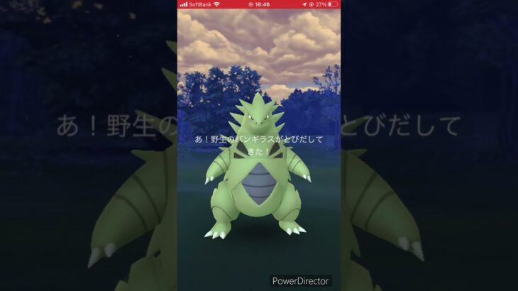 【 ポケモンGO 】ヨーギラス、コミュニティデー、完了