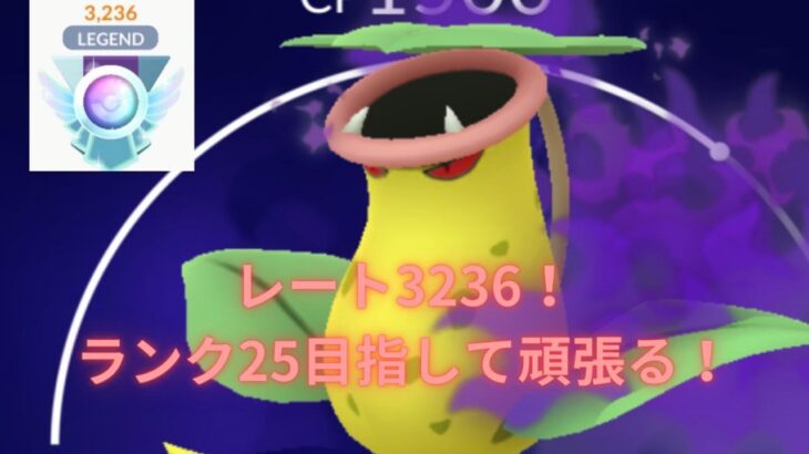 【ポケモンGO】ランク25を目指して！R3236～【Sウツボット、Sグランブル、トリデプス】