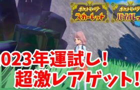 【ポケモンSV】星６レイドで運試ししたら超激レアアイテムが！【ポケモンスカーレットバイオレット】