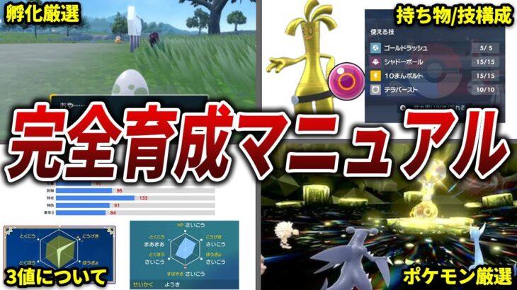 【ポケモンSV】初心者必見！今作の育成のすべてを教えます