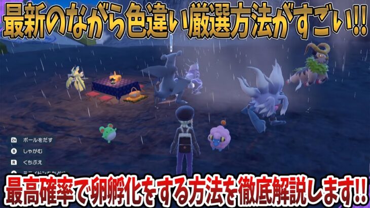 【ポケモンSV】最新のながら色違い厳選方法がすごい！？最高確率で卵孵化をする方法を徹底解説します！！質問がある方はコメントお待ちしております！