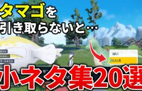 【ポケモンSV】細かすぎて気づかない小ネタ集20選