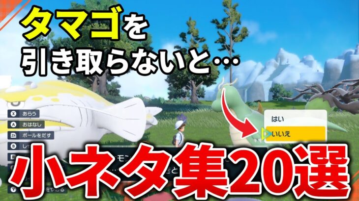 【ポケモンSV】細かすぎて気づかない小ネタ集20選