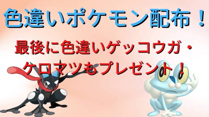 【ポケモンSV】色違いポケモン配布！ゲッコウガ・ケロマツ色違い最後に配布します！【Pokémon】