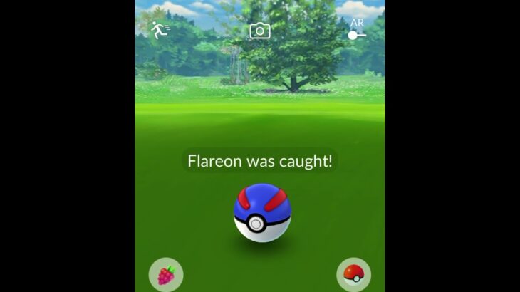 Wild Flareon (Pokemon go) #pokemongo