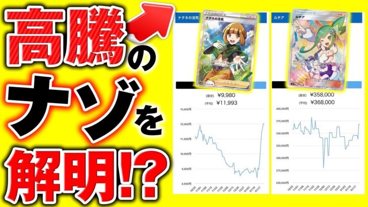 【ポケカ高騰】高騰の理由はコレ？！考察出来れば次も分かる？！徹底解明！ルチア ナタネの活気 買取強化 収録パックの背景 ポケモンカード 予想 既存 最新弾 スカーレットex  バイオレットex