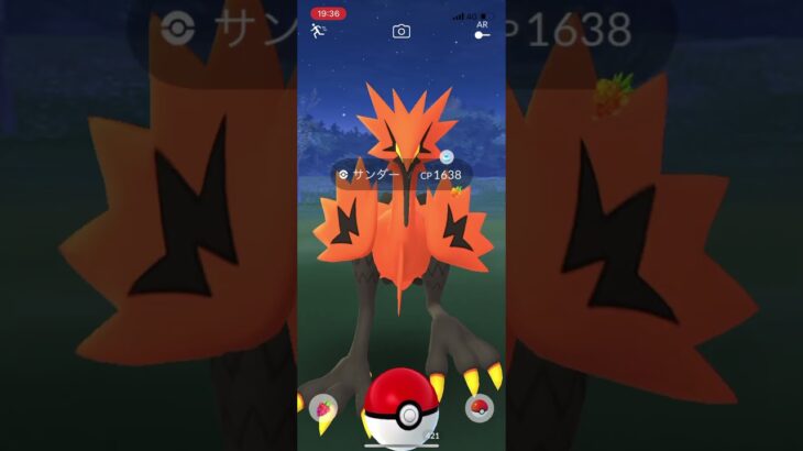 ポケモンgo 野生のガラルサンダーゲットチャレンジ　ハァハァ