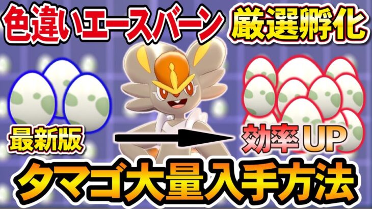 【ポケモンsv】色違いヒバニー(エースバーン)を最新の孵化厳選する方法で実践します【ポケモンスカーレット・バイオレット】