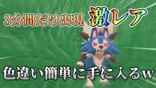 たそがれルガルガンの色違いが手に入る裏技！？w 【ポケモンSV】