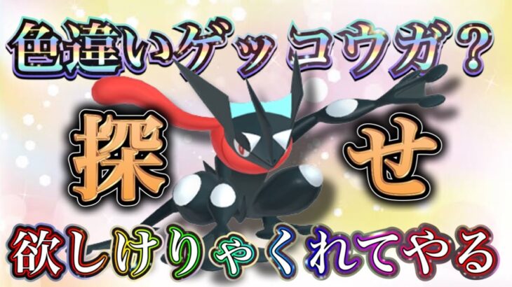 120個のタマゴから色違いオシャボ入りゲッコウガを探せ！！その他は概要欄【ポケモンSV 実況ライブ配信中】