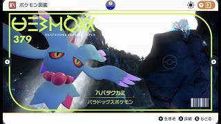 【ほぼ黒バド】現状、ハバタクカミがパラドックスで1番強いと思ってます。【ポケモンSV】