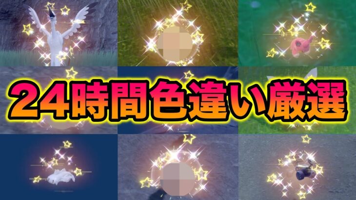 【検証】24時間色違いをゲットして即視聴者に配布したらチャンネル登録者はどれだけ増えるのか？【ポケモンSV/スカバイ】