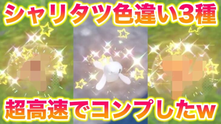 【強運】シャリタツの色違い3種類を超高速でコンプできたんだがww【ポケモンSV/スカバイ】